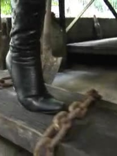 ShemalePunishers.com movies