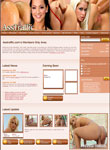Ass Traffic members area preview
