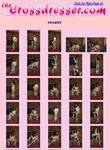 The CrossDresser members area preview