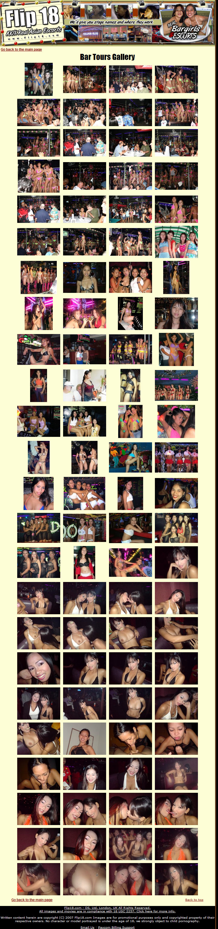 Flip 18 members area preview 2